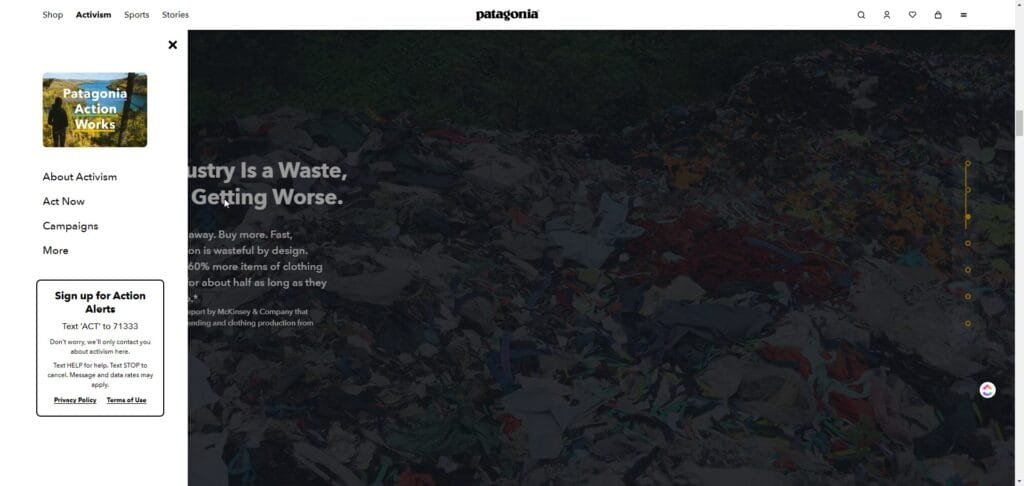 A visual representation of Patagonia's sustainability initiatives. customers engagement